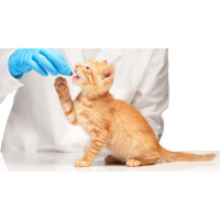 Ветеринарні препарати