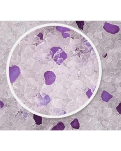 AnimAll "Фіолетовий Аметист", 15 л