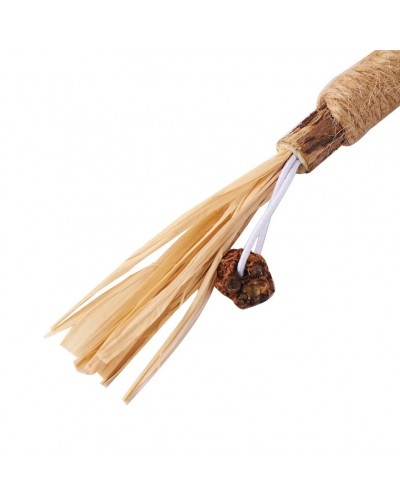 Жувальна паличка з котячою м'ятою, 22 см, 1 шт