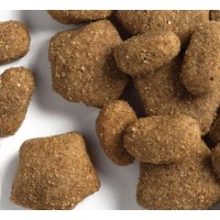 Dog Chow Sensitive (Дог Чау Сенситив), сухий корм для дорослих собак з чутливим травленням, з лососем, 14 кг