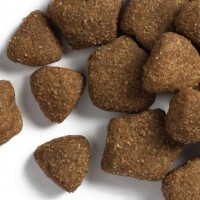 Dog Chow Adult Large Breed Turkey, сухий корм для дорослих собак крупних порід, з індичкою, 14 кг