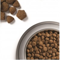 Dog Chow Adult Large Breed Turkey, сухий корм для дорослих собак крупних порід, з індичкою, 14 кг