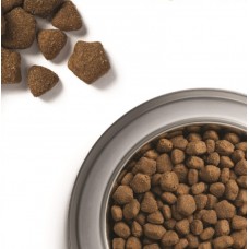 Dog Chow Adult Large Breed Turkey, сухий корм для дорослих собак крупних порід, з індичкою, 14 кг