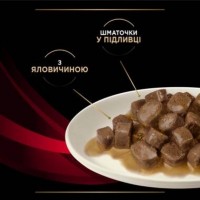 Purina Pro Plan DM ST/OX Diabetes Managment, вологий корм для дорослих котів з цукровим діабетом, з яловичиною, 85 г