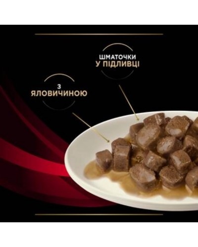 Purina Pro Plan DM ST/OX Diabetes Managment, вологий корм для дорослих котів з цукровим діабетом, з яловичиною, 85 г Purina Pro Plan DM ST/OX Diabetes Managment, вологий корм для дорослих котів з цукровим діабетом, з яловичиною, 85 г