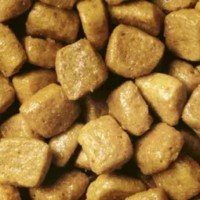 Purina Pro Plan Delicate, сухий корм для котів з чутливим травленням, з індичкою, 1 кг (на розвіс)