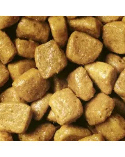 Сухий корм для котів з чутливим травленням Purina Pro Plan Delicate, з індичкою, 1 кг (на розвіс)