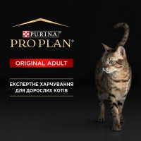 Purina Pro Plan Renal plus (ex Original), сухий корм для дорослих котів, з куркою, 1 кг (на розвіс)