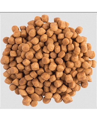 Лікувальний сухий корм для котів при хворобах кишківника Purina Pro Plan EN ST/OX Gastrointestinal, 400 г Лікувальний сухий корм для котів при хворобах кишківника Purina Pro Plan EN ST/OX Gastrointestinal, 400 г