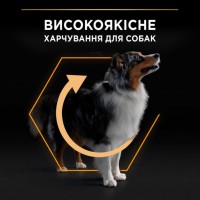 Pro Plan Purina ProPlan Medium Adult, сухий корм для собак середніх порід, з куркою, 3 кг