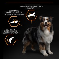 Pro Plan Purina ProPlan Medium Adult, сухий корм для собак середніх порід, з куркою, 3 кг