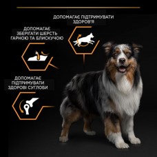 Pro Plan Purina ProPlan Medium Adult, сухий корм для собак середніх порід, з куркою, 14 кг