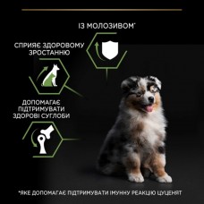 Pro Plan Purina ProPlan Medium Puppy, сухий корм для цуценят середніх порід, з куркою, 3 кг