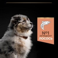 Purina Pro Plan Medium Puppy Sensitive Skin, сухий корм для цуценят середніх порід з чутливою шкірою, з лососем, 12 кг