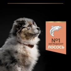 Purina Pro Plan Medium Puppy Sensitive Skin, сухий корм для цуценят середніх порід з чутливою шкірою, з лососем, 12 кг