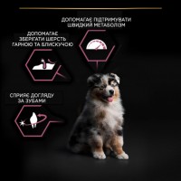 Purina Pro Plan Medium Puppy Sensitive Skin, сухий корм для цуценят середніх порід з чутливою шкірою, з лососем, 12 кг