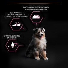 Purina Pro Plan Medium Puppy Sensitive Skin, сухий корм для цуценят середніх порід з чутливою шкірою, з лососем, 12 кг