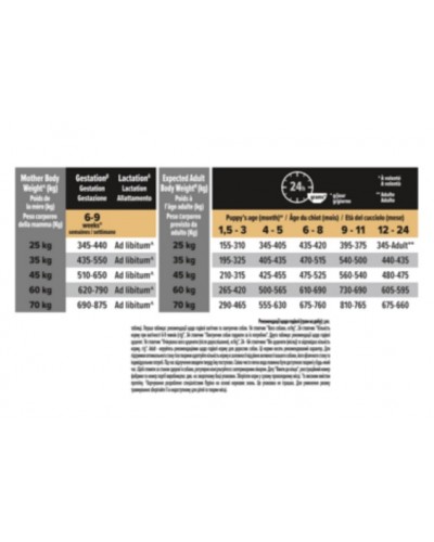 Purina ProPlan Large Robust Puppy