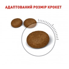 Royal Canin Hair & Skin Care, сухий корм для дорослих котів, для здоров'я шкіри та шерсті, 2 кг