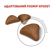 Royal Canin Hairball Care, сухий корм для дорослих котів, виведення шерсті, 2 кг