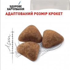 Royal Canin Indoor, сухий корм для дорослих котів, що живуть в приміщенні, 2 кг