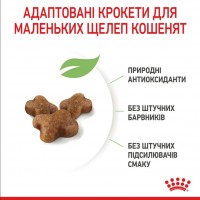 Royal Canin Kitten, сухий корм для кошенят всіх порід, 2 кг