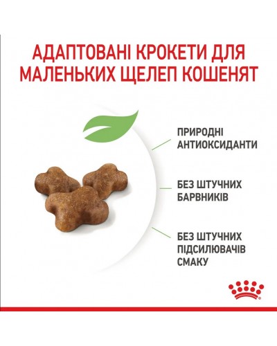Royal Canin Kitten, сухий корм для кошенят всіх порід, 2 кг Royal Canin Kitten, сухий корм для кошенят всіх порід, 2 кг