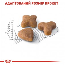 Royal Canin Sensible, сухий корм для дорослих котів з чутливою травною системою, 2 кг