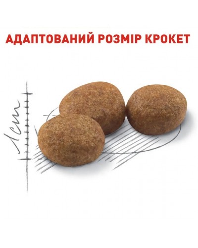 Royal Canin Sterilised, сухий корм для стерилізованих котів Royal Canin Sterilised, сухий корм для стерилізованих котів