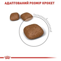 Royal Canin Urinary Care, лікувальний сухий корм для дорослих котів, профілактика сечокам'яної хвороби, 2 кг
