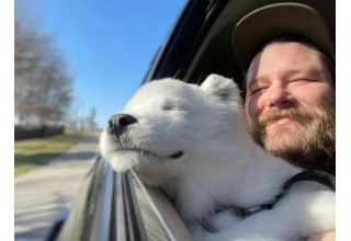 Кіт або собака вдома приносять щастя не менше, ніж вдалий шлюб, - результати досліджень