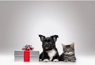 Бажаєте зекономити? Допоможемо! Три робочих способи і один лайфхак