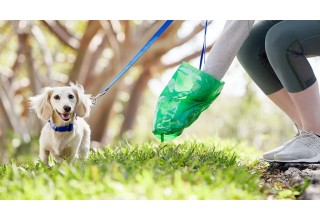 Весна покаже..., або Прибрати не можна залишити