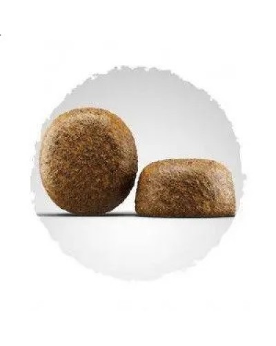 JOSERA Large Breed, 12.5 кг JOSERA Large Breed, 12.5 кг