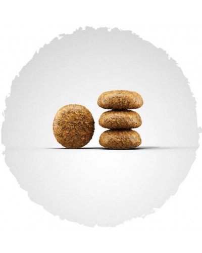 Сухий корм JOSERA Miniwell, для дорослих собак малих порід, 10 кг