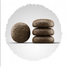 Сухий корм JOSERA Festival, для вибагливих собак, з лососем, 12.5 кг