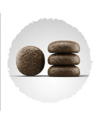 Сухий корм JOSERA Festival, для вибагливих собак, з лососем, 12.5 кг