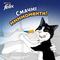 Кремові ласощі для котів Purina Felix Deli Moments, Фелікс Смачні моменти, з куркою, 4 стіки по 10 г