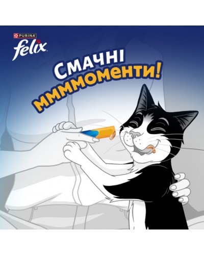 Кремові ласощі для котів Purina Felix Deli Moments, Фелікс Смачні моменти, з куркою, 4 стіки по 10 г Кремові ласощі для котів Purina Felix Deli Moments, Фелікс Смачні моменти, з куркою, 4 стіки по 10 г