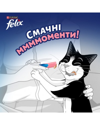 Кремові ласощі для котів Purina Felix Deli Moments, Фелікс Смачні моменти, з лососем, 4 стіки по 10 г Кремові ласощі для котів Purina Felix Deli Moments, Фелікс Смачні моменти, з лососем, 4 стіки по 10 г