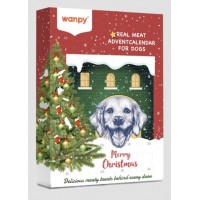 Wanpy Advent Calendar For Dogs, адвент-календар від Ванпі, святковий набір ласощів для собак, 1 кор. (24 порції)