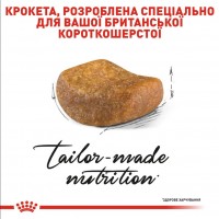 Royal Canin British Shorthair Adult, сухий корм для дорослих котів британської короткошерстої породи, 2 кг