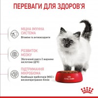 Royal Canin Kitten, сухий корм для кошенят всіх порід, 2 кг
