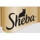Sheba