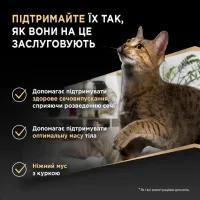 Purina Pro Plan Sterilised Промо набір мус з куркою для стерилізованих котів, банка, 12x85 г