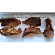 Вухо теляче сушене, 1 шт