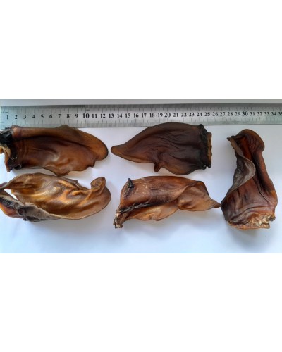 Натуральний смаколик для собак - сушене вухо теляти, 1 шт