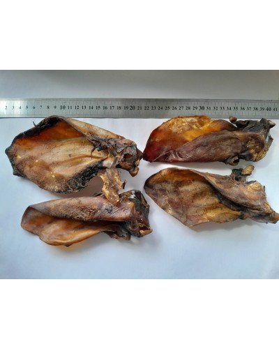 Натуральний смаколик для собак - сушене вухо яловиче, 1 шт