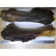 Гомілка яловича з жилою сушена, 1 шт