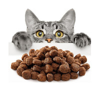 Корми для котів